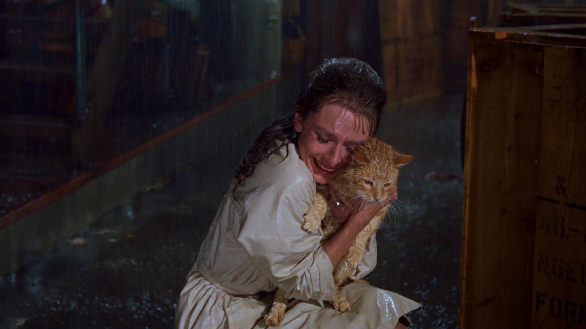 SoAudreyHepburn's tweet photo. Audrey Hepburn and Orangey photographed for Breakfast at Tiffany's, 1961 #GingerCatAppreciationDay https://t.co/DAIYrtXIW3