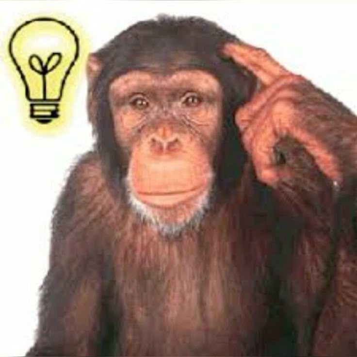 Just use another ape bruh