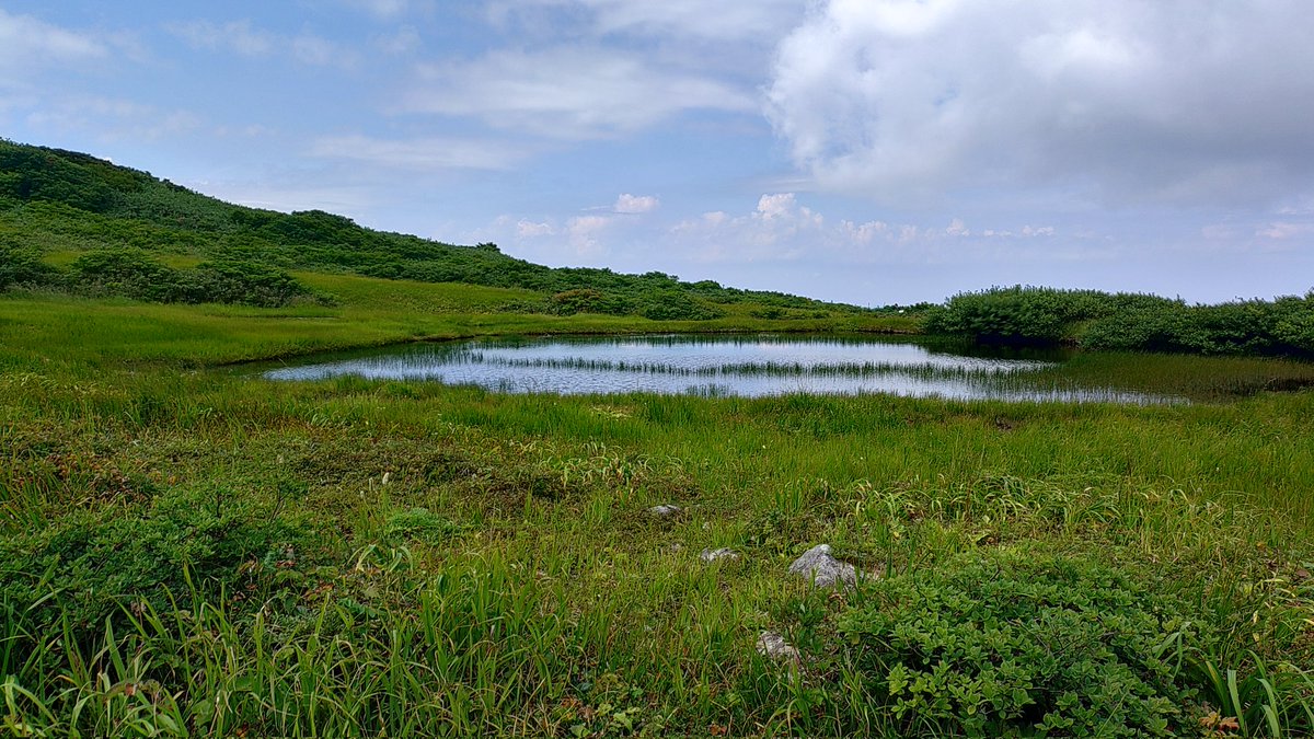今日は山形の月山に登ってきました。
登り始めは良い天気でしたが山頂に着く頃にはガスってしまいました。
でもでも。良い山行でした。
#はやちねさんぽ
#登山
#月山
#山形県