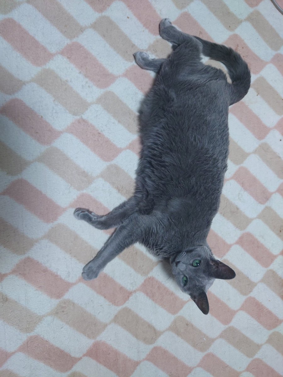 ななしななこ tweet media