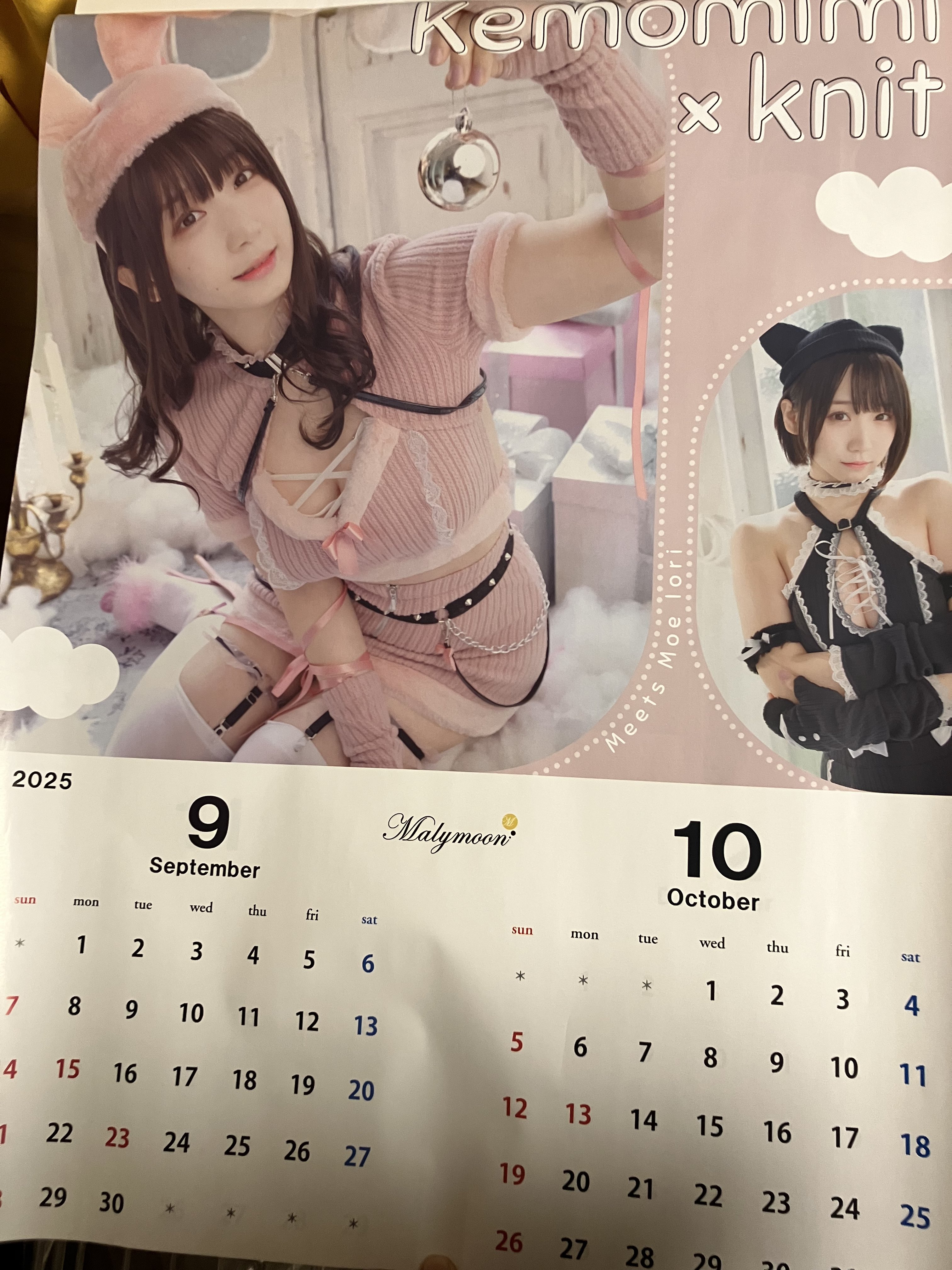 【新品未使用】伊織もえ 1日店長 限定Tシャツ XLサイズ Malymoon 2025年最新】伊織もえ tシャツの人気アイテム - メルカリ