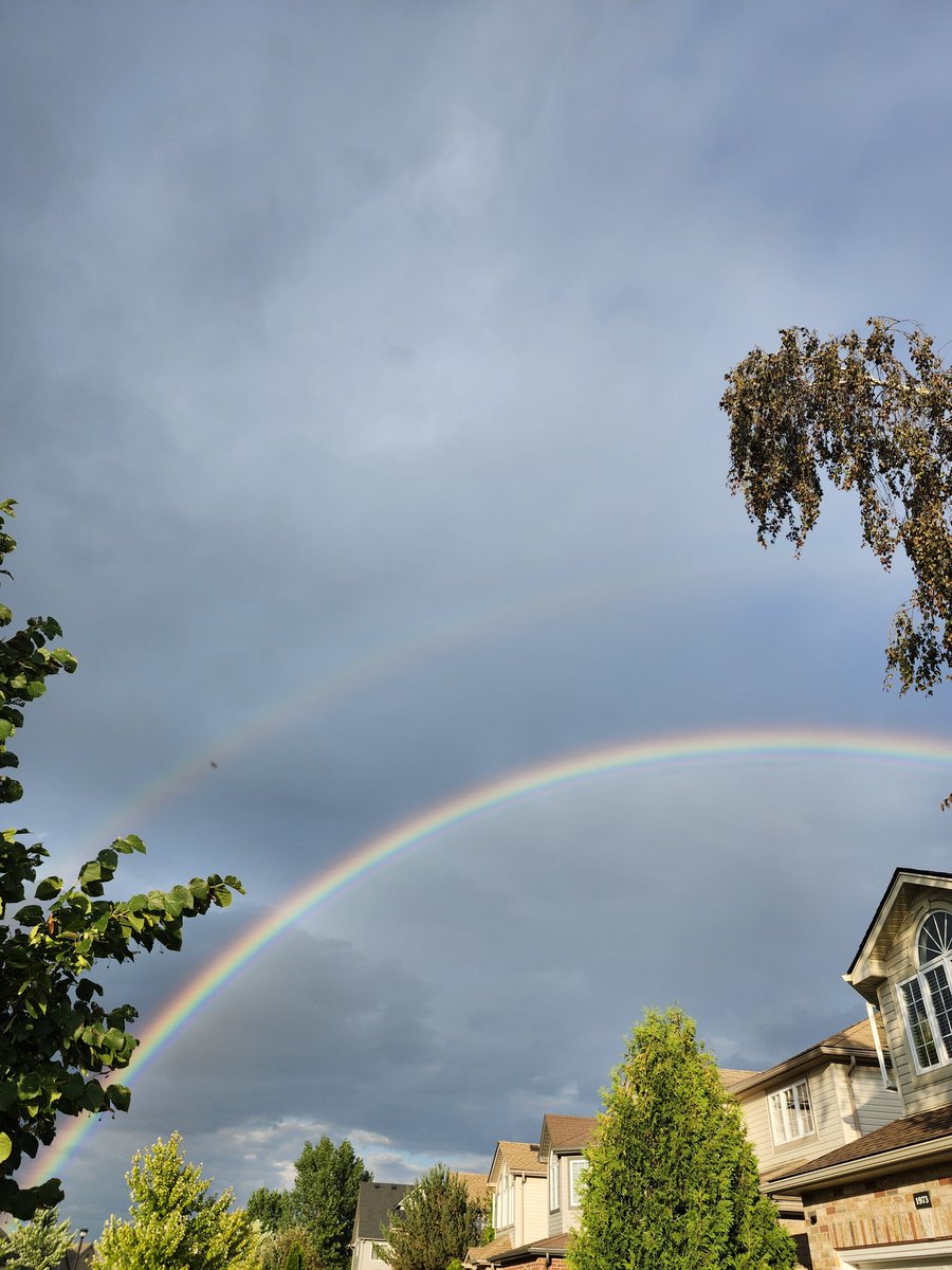 Kelly Craig tweet media