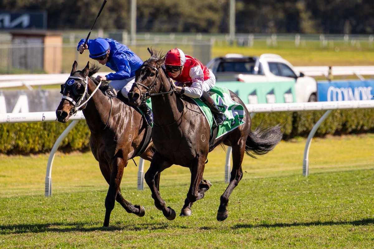 Tuesday, September 02 edition is now live:     

🔶‘If we can’t pass the pub test, we won’t have an industry’: Tyreek highlights welfare and penalty concerns

🔶Finding the Gain: Why outdated tax rules are failing Australian breeders

🔶Stable Tours: Magic Time aims for more