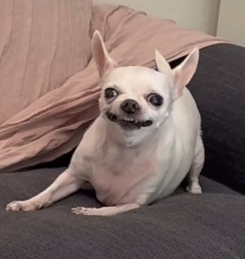 Io quando domani mattina rivedrò tutti i colleghi rientrando in servizio.