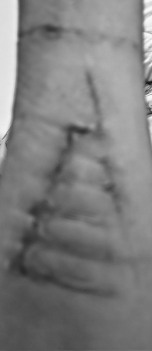 Emma Datson tweet media