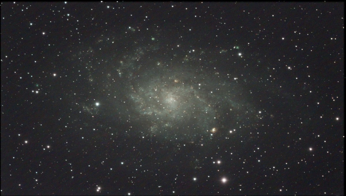 越前リョーマ JF2019 天体観測 ブロッキー 楽天市場】【プライスダウン】 CONVERSE BREAKSTAR SK SHINPEI