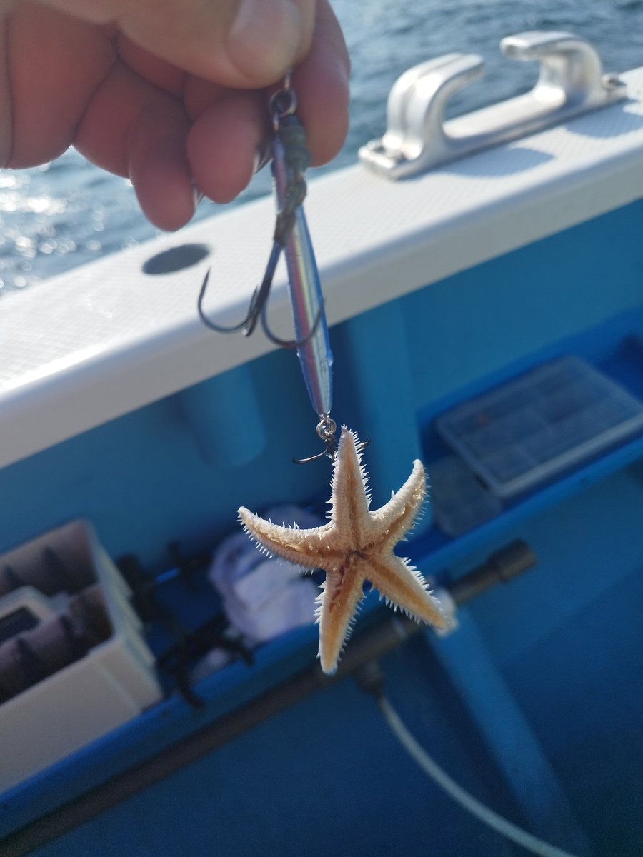 深川吉野屋さんからタチウオジギング行ってきました
浅場の12m主体でしま
トータル21本
パターンつかめずでした😭
修行が足りませぬ