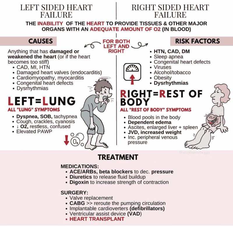 healingwavesup's tweet photo. LEFT AND RIGHT-SIDED HEART FAILURE ⚠️⚠️⚠️

Would you modify anything in management ❓❓👀 https://t.co/niquyAHdRJ