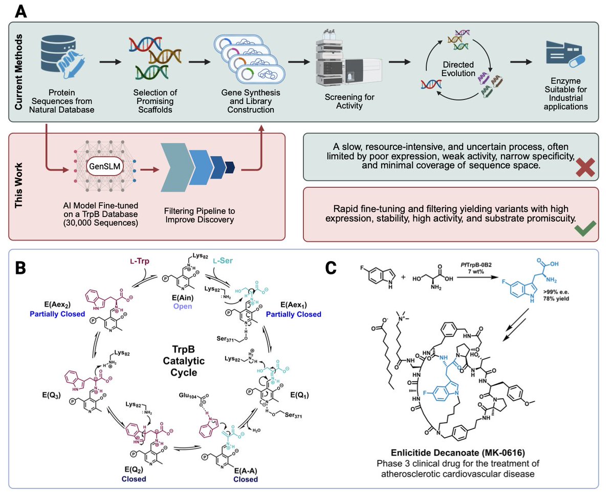 Sequence-Based Generative AI-Guided Design of Versatile Tryptophan Synthases

1. A groundbreaking study leverages GenSLM, a protein language model, to design novel tryptophan synthase β-subunits (TrpBs) with enhanced activity and substrate promiscuity. This approach bypasses