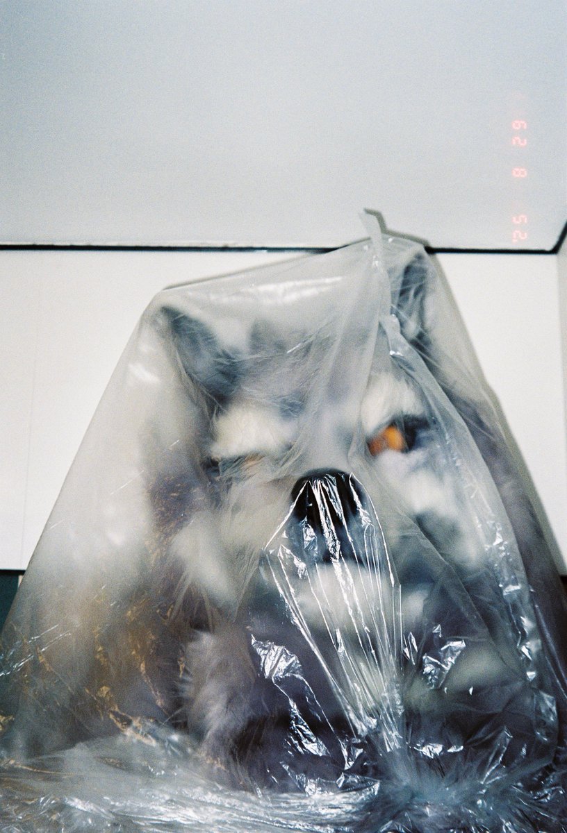 CardWolf (@cardwolfzz) on Twitter photo 