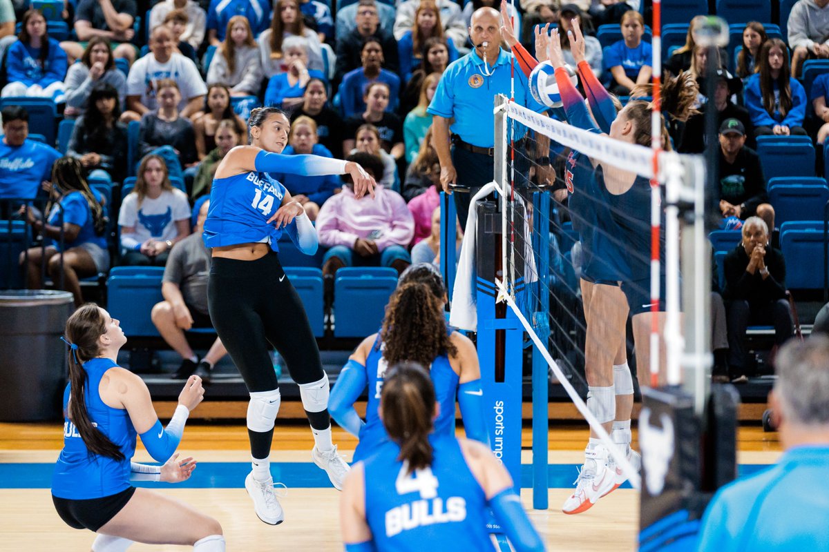 Buffalo Volleyball tweet media
