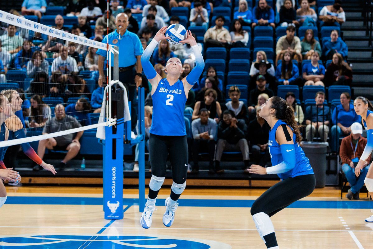 Buffalo Volleyball tweet media