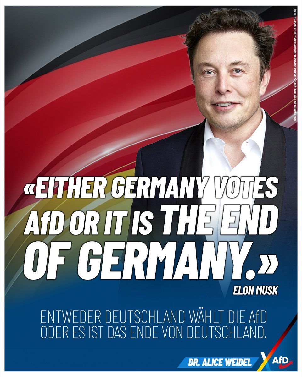 ent of tschörmani !!!!11