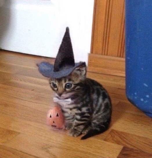 HAPPY SEPTEMBER
