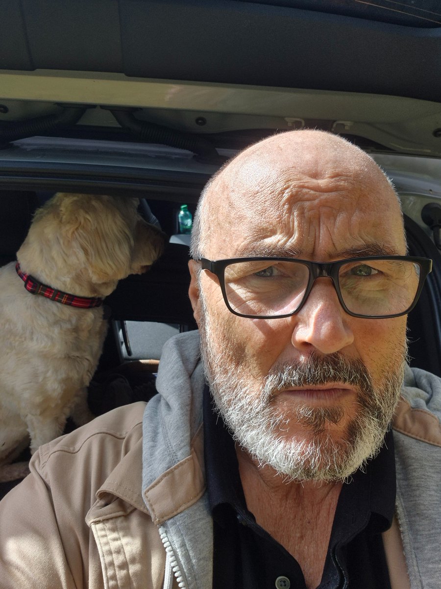 Checks celtic  twitter after our long walk . Ffs . Even Stellas fkn ragin 🤣🤣🤣🐶☘️