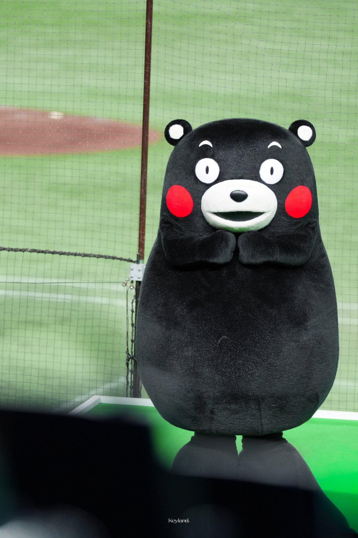 くまモン様 カブ/CUB】ツーリングに行こうステッカー（くまモンバージョン