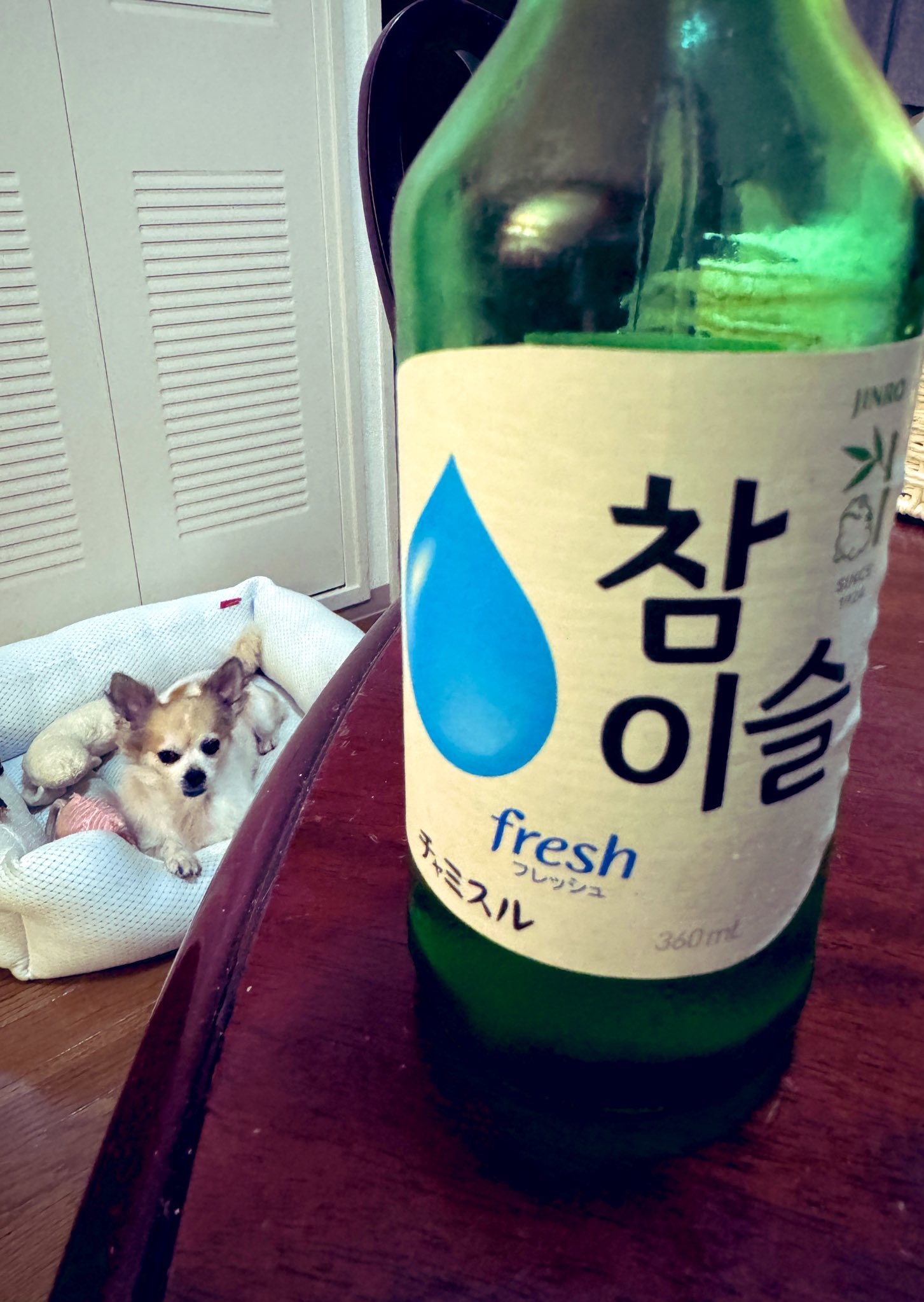 お値下げ。韓国 ポジャギ チョガッポ 写真追加（イメージです