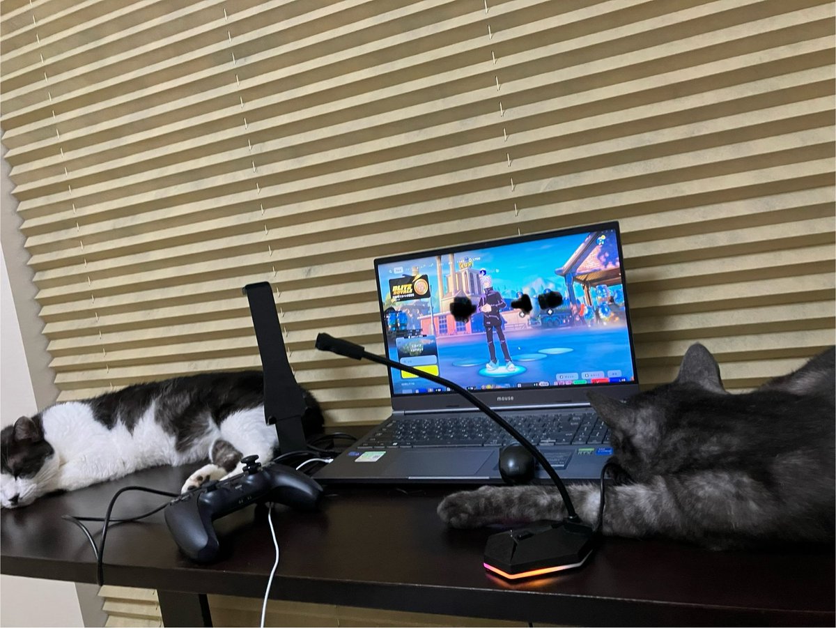 テーブルが猫に占拠されそう😅
#保護猫
#猫の居る生活