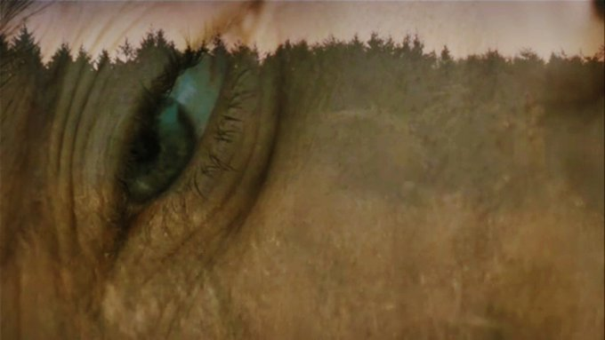 Stephen Gibbons tweet media