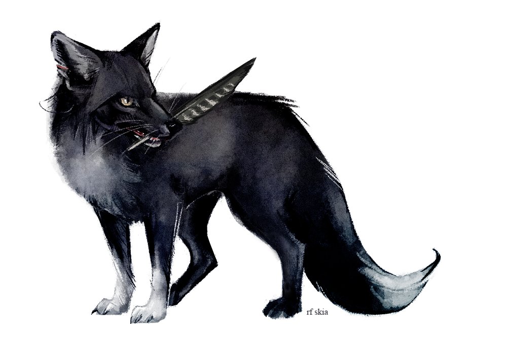 Skia𓅃 (@alopex) on Twitter photo 