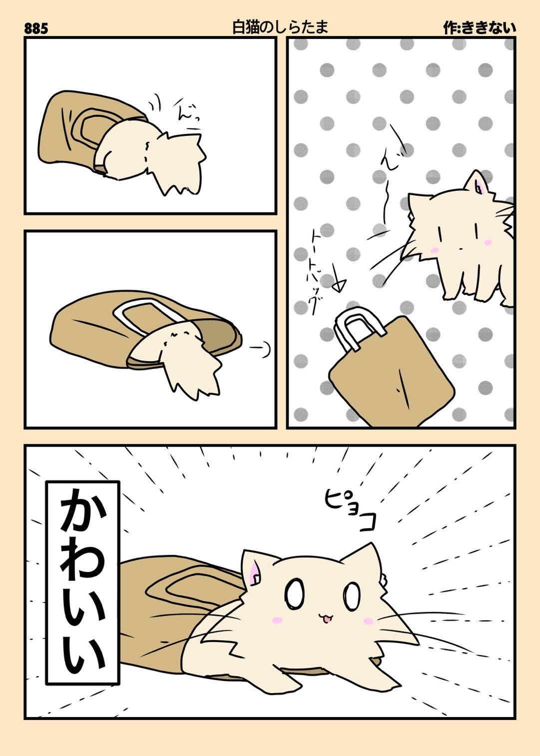 白猫コメントください 顔が小さいです #ねこ#cat#猫#白猫#whitecat#rescuedcat#しろ