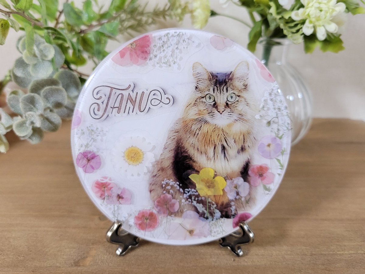 昨日のこれの作り方というかこんな感じでやったよ、です。

💻の加工ソフトとご家庭用プリンターを使用しました。
他にやり方…と思ったけど、プリンターがない場合の代替案がみつからぬ…ｽﾏﾇ…ｽﾏﾇ…
プリントするものの著作権とかモラルのご判断はお間違えなきよう！

以下作り方↓