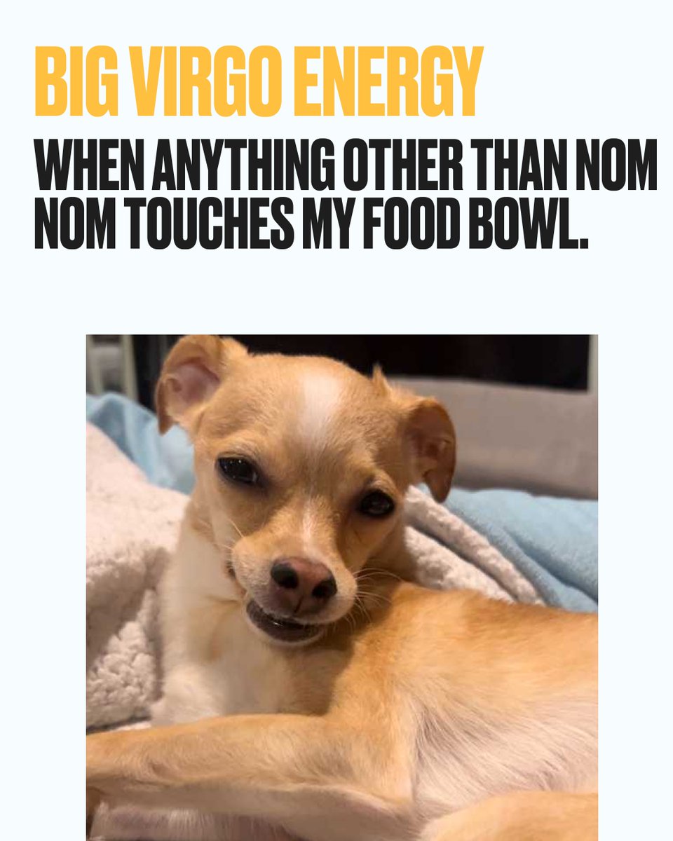Nom Nom tweet media