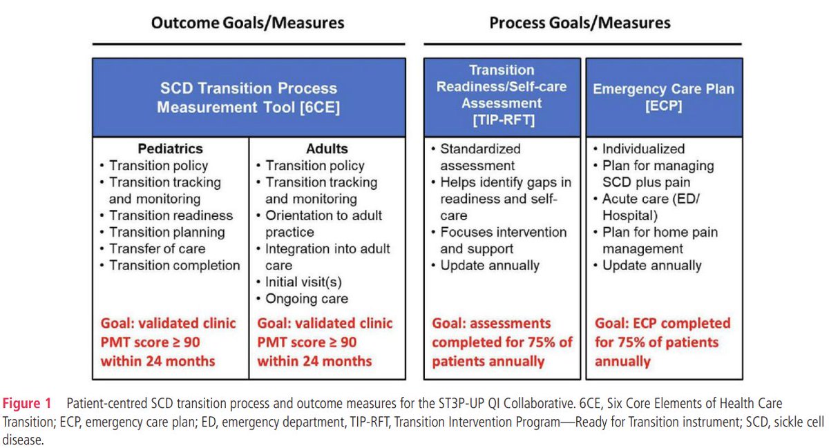 BMJ Quality & Safety (@bmj_qual_saf) on Twitter photo 🏥 Improving care for young adults with sickle cell disease (SCD) during transition from paediatric to adult services. 
This quality improvement approach resulted in sustained improvements in routine clinic processes for the transition of youth from paediatric to adult care from 🏥 Improving care for young adults with sickle cell disease (SCD) during transition from paediatric to adult services. 
This quality improvement approach resulted in sustained improvements in routine clinic processes for the transition of youth from paediatric to adult care from
