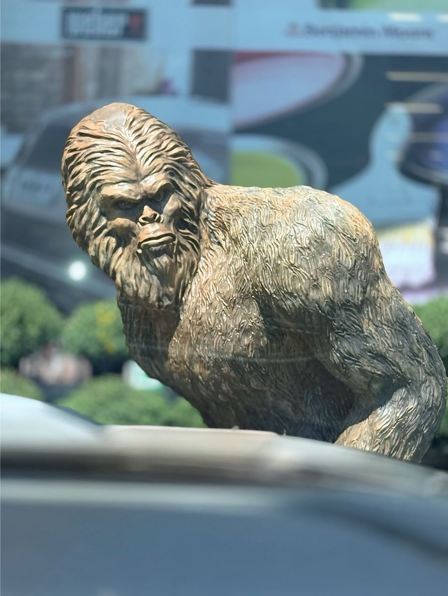 What the Sasquatch??? #jokes #laughes #NoMondayBluesHere #IYKYK #NC #Smile #justforlaughs #adventures