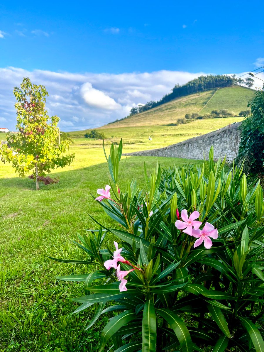 Últimos días de verano en el jardín