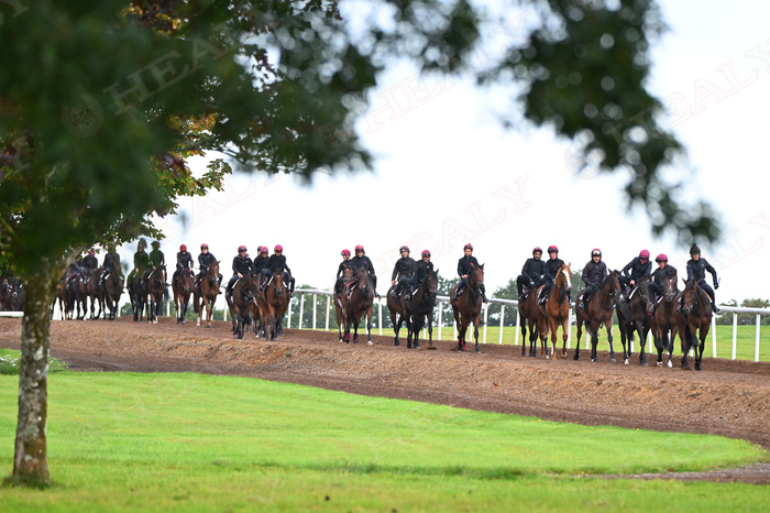 Pat Healy tweet media