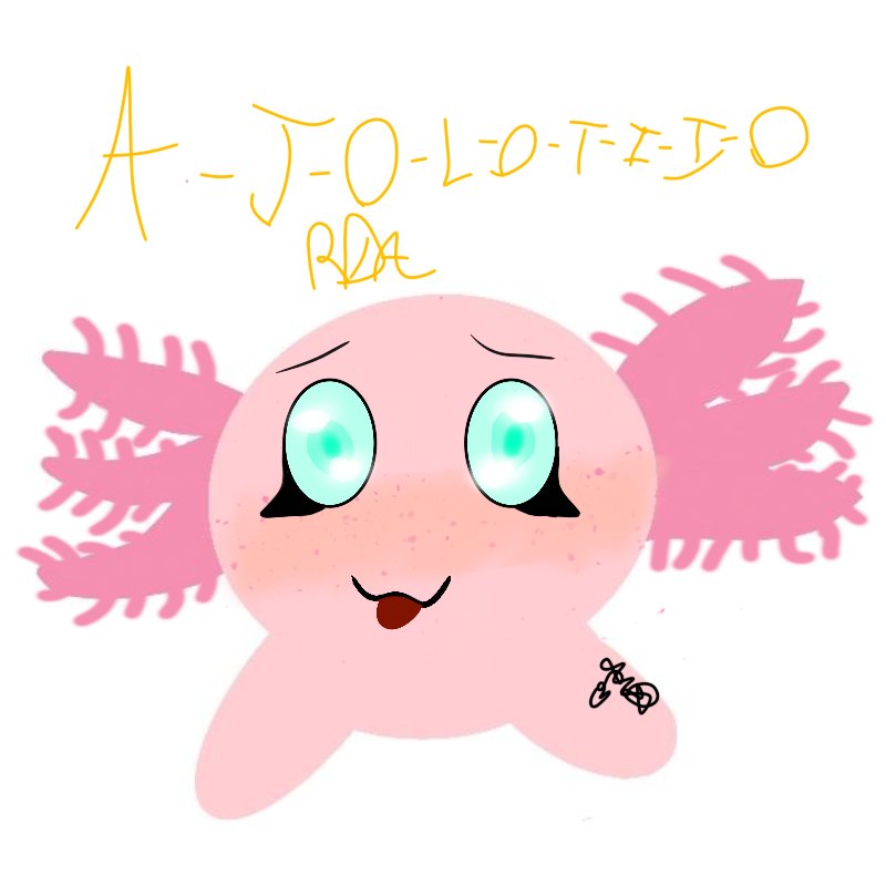 Contemplen, el ajolotito ✨✨✨