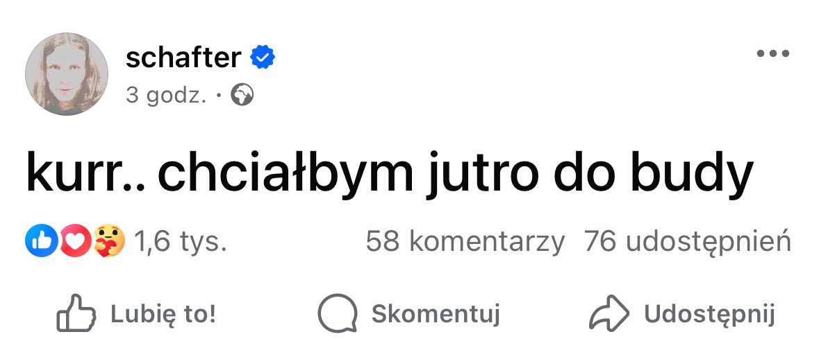 TurtleHype (@turtlehype4) on Twitter photo 