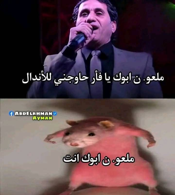 😅😅😅😅
