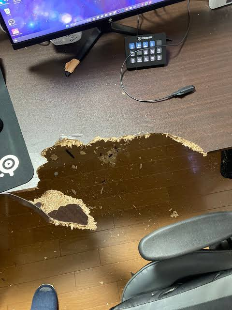 Boatish01's tweet image. someone pinged the ward before i did fuck this game