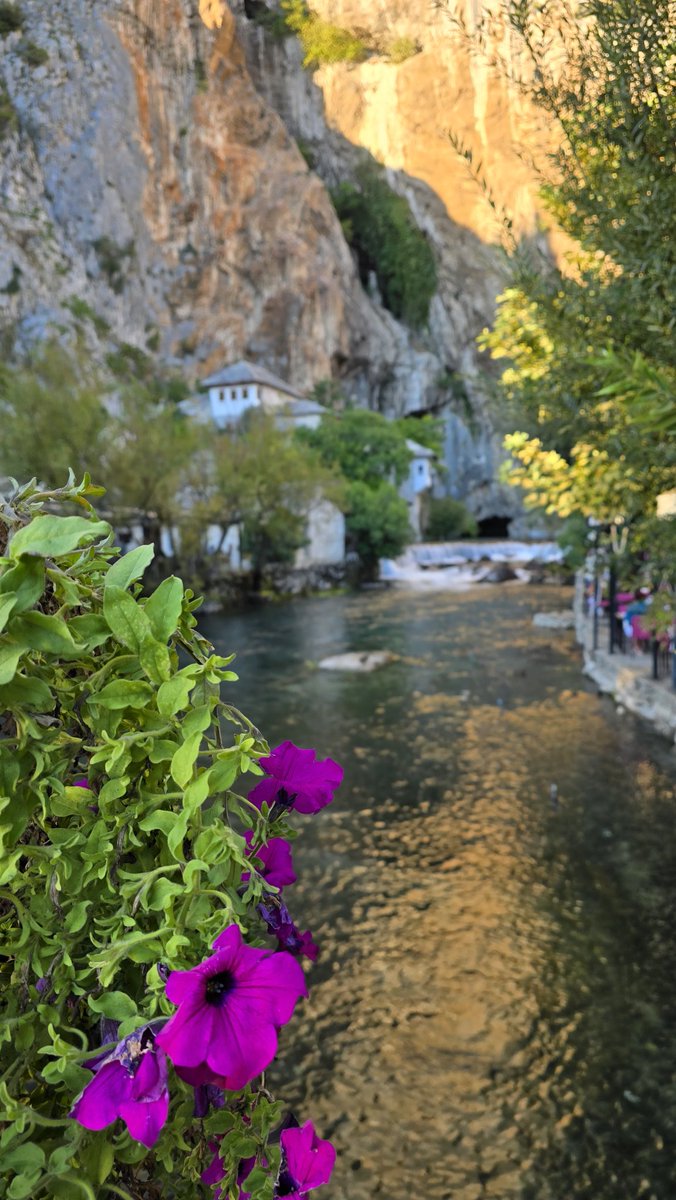 Mustafa Tatcı (@mtatci) on Twitter photo 