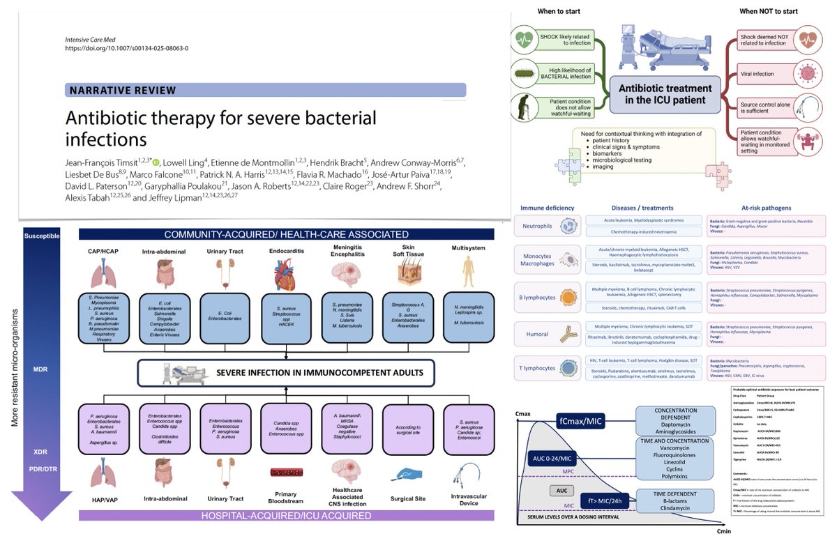 Antibiotic therapy for severe bacterial infections:
🔍 epidemiology of severe infections: community vs hospital-acquired, L/MICs
⏱️ when to start and NOT to start antibiotics?
🚧 specific issues: migrants/travellers, emerging infectious diseases, Immunocompromised patients
🧫