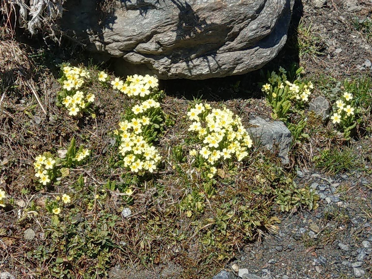 İLYAS BEDER (@bederilyas35841) on Twitter photo 