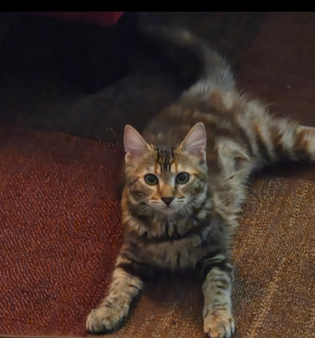 Ravenclaw 💙🌊 tweet media