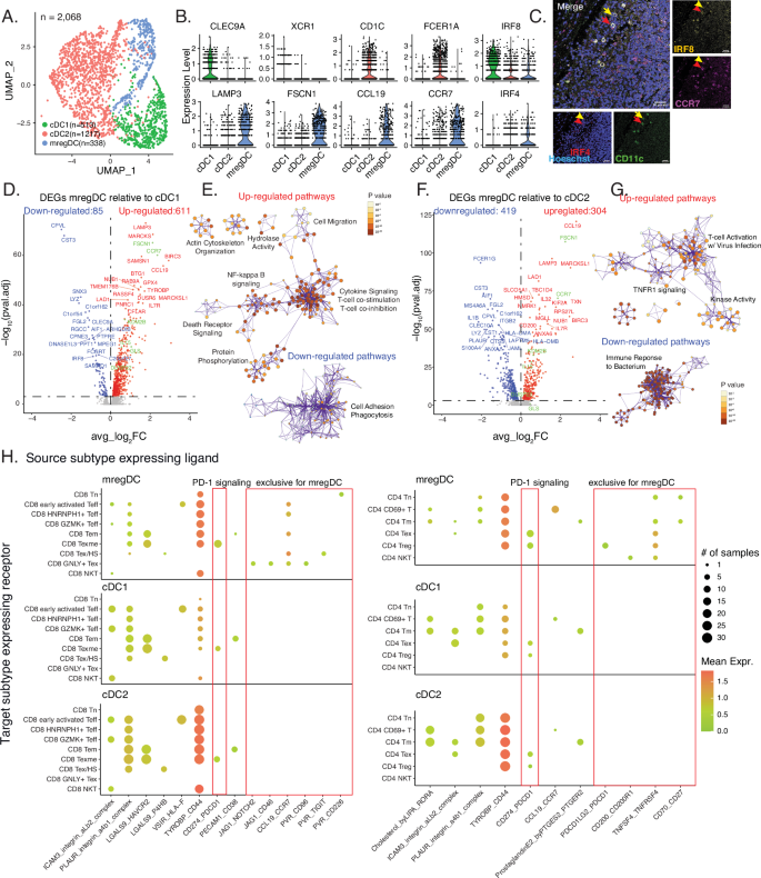 Waggoner Lab (@labwaggoner) on Twitter photo Mature and migratory dendritic cells promote immune infiltration and response to anti-PD-1 checkpoint blockade in metastatic melanoma <a href="/NatureComms/">Nature Communications</a> <a href="/gmboland/">Genevieve Boland, MD, PhD</a> <a href="/manoliskellis/">Manolis Kellis</a>
nature.com/articles/s4146… Mature and migratory dendritic cells promote immune infiltration and response to anti-PD-1 checkpoint blockade in metastatic melanoma <a href="/NatureComms/">Nature Communications</a> <a href="/gmboland/">Genevieve Boland, MD, PhD</a> <a href="/manoliskellis/">Manolis Kellis</a>
nature.com/articles/s4146…