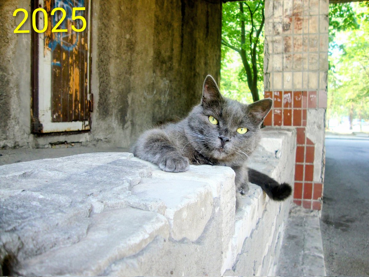 EdikUsenko's tweet photo. Монатик. https://t.co/UzDU05g2Ma