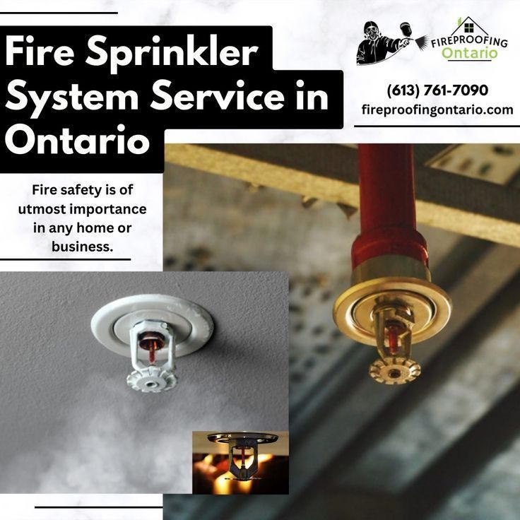 *Fire Sprinkler System Service in Ontario, Canada*

Having a reliable fire sprinkler system in place is one of the best ways to protect your property
#fireproofing #firesprinklers #sprinklersystem #protection #service #Ontario #Canada #MotivationDaily 
fireproofingontario.com/fire-sprinkler…