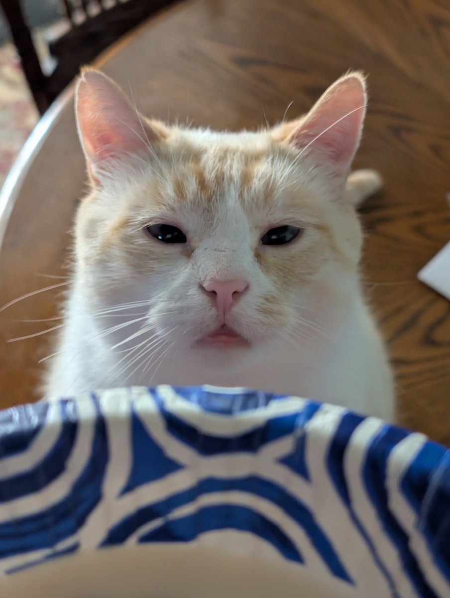 When mommy won't give you Any of her apple jacks 😧