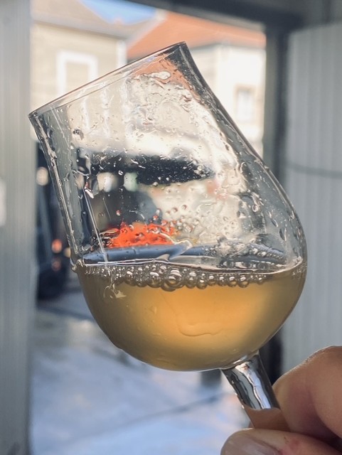 Groupe_ISSIPA's tweet image. Vendanges 2025 en cours 🍇⏳
Comme chaque année, ce moment tant attendu marque l’aboutissement d’une saison de travail passionnante dans nos vignes.
À tous, nous souhaitons de belles vendanges 2025, sous le signe de la qualité et de la convivialité 🍷
#vendanges #champagne