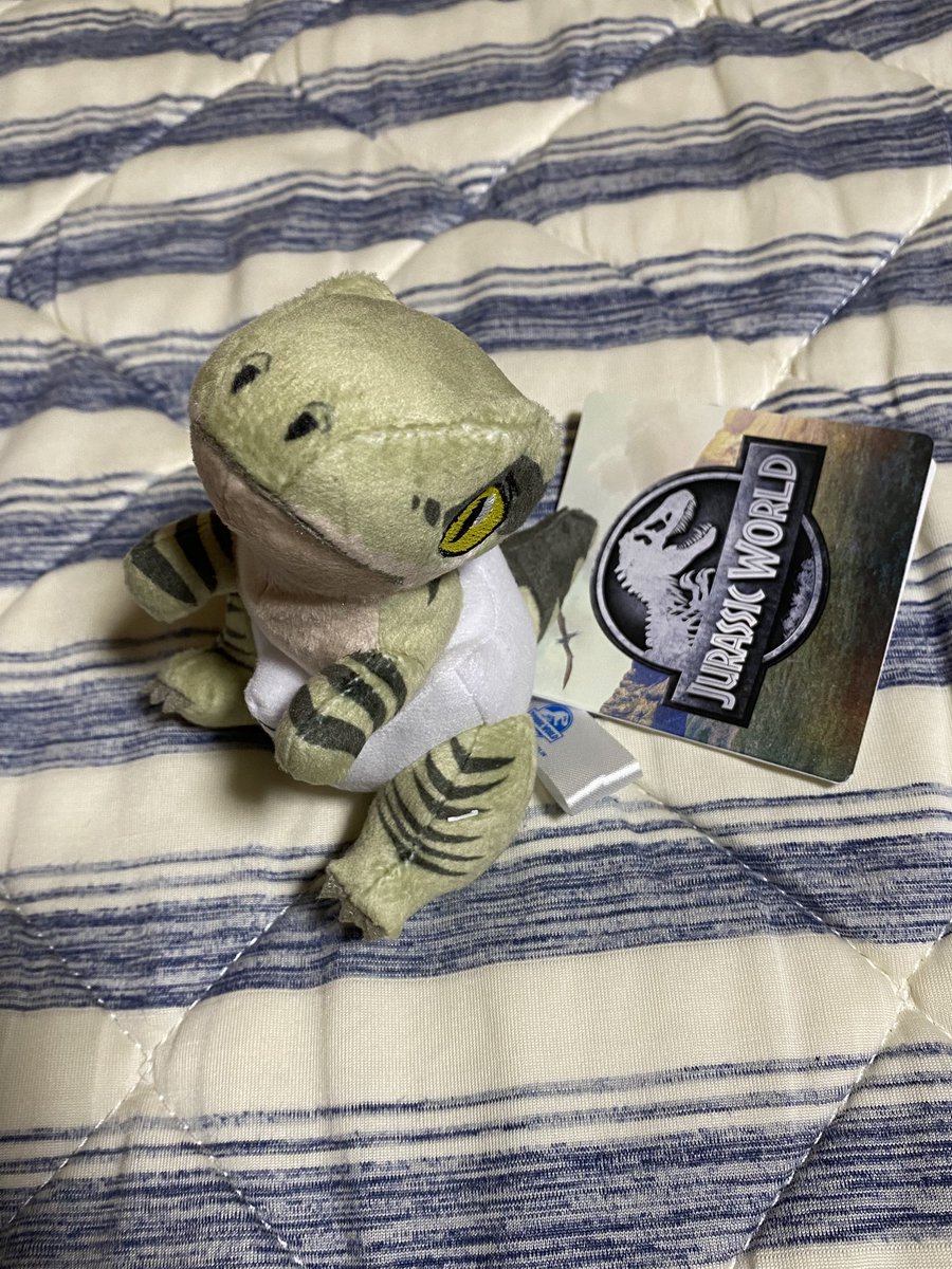 たまたま立ち寄ったゲーセンでジュラシックワールドのクレーンゲームを発見。
推しのデルタのぬいぐるみがあったので、頑張ってGETしました！🦖