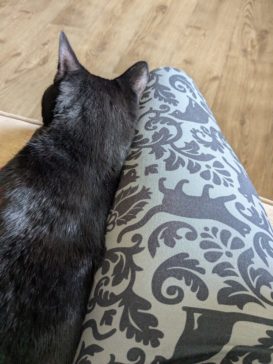 ForestSchoolCat tweet media