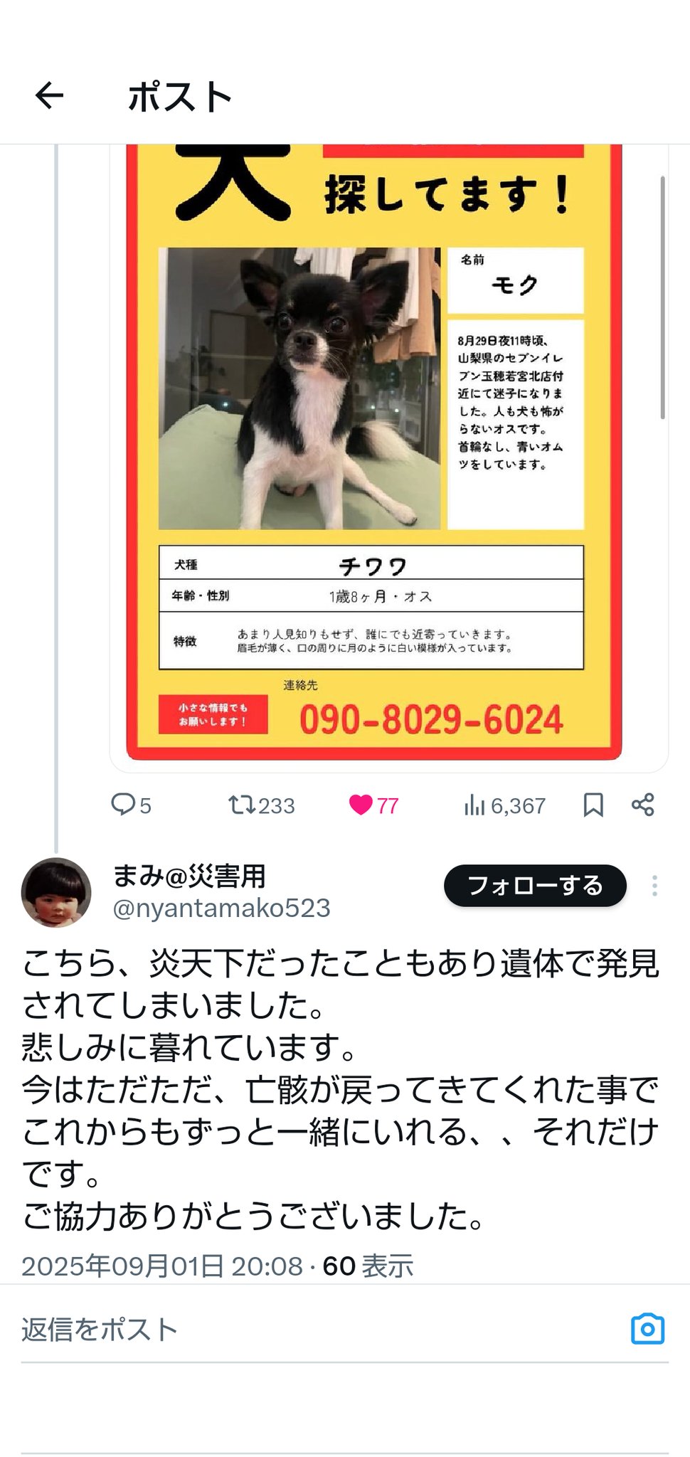 TTM：aki8564℗ 🌹🐷🌹 on X: 