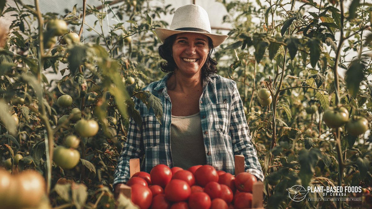 Today we’re celebrating the people who keep Canada’s food system thriving—from seed to shelf.

Behind every product on our grocery shelves are hardworking farmers, processors, innovators, and countless team members who put their time, skills, and passion into building a stronger,