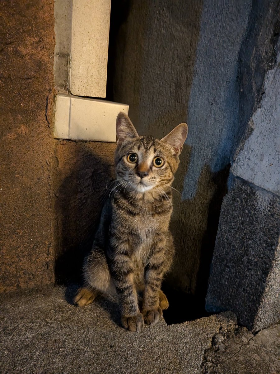 多分四ヶ月くらい