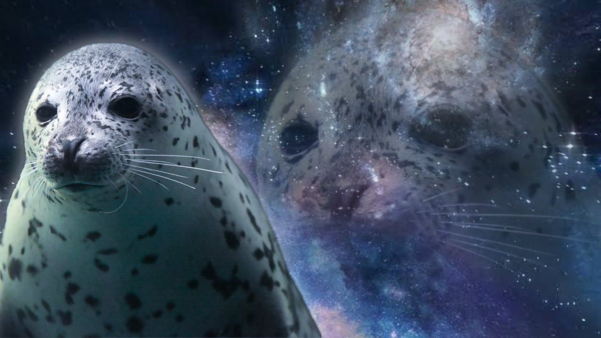 see you space cowboy...